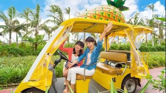 Naha: North Okinawa Sightseeing Tour & Churaumi Aquarium
