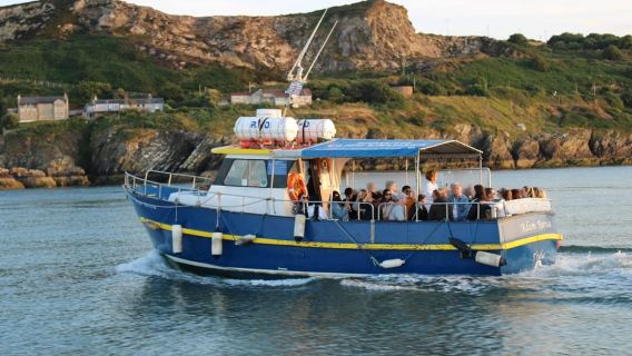 Dublino: crociera e cena a Howth