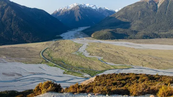 From Christchurch: Arthur's Pass with TranzAlpine & Lunch