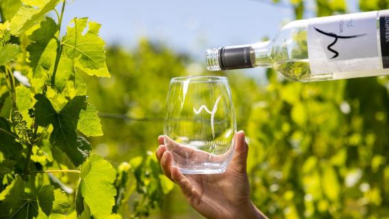 Brisbane: Degustazione di vini - Tour sali e scendi al Monte Tamborine