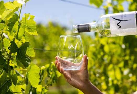 Gold Coast: Hop on Hop off Wine Tasting Tour to Mt Tamborine AUD 156.91