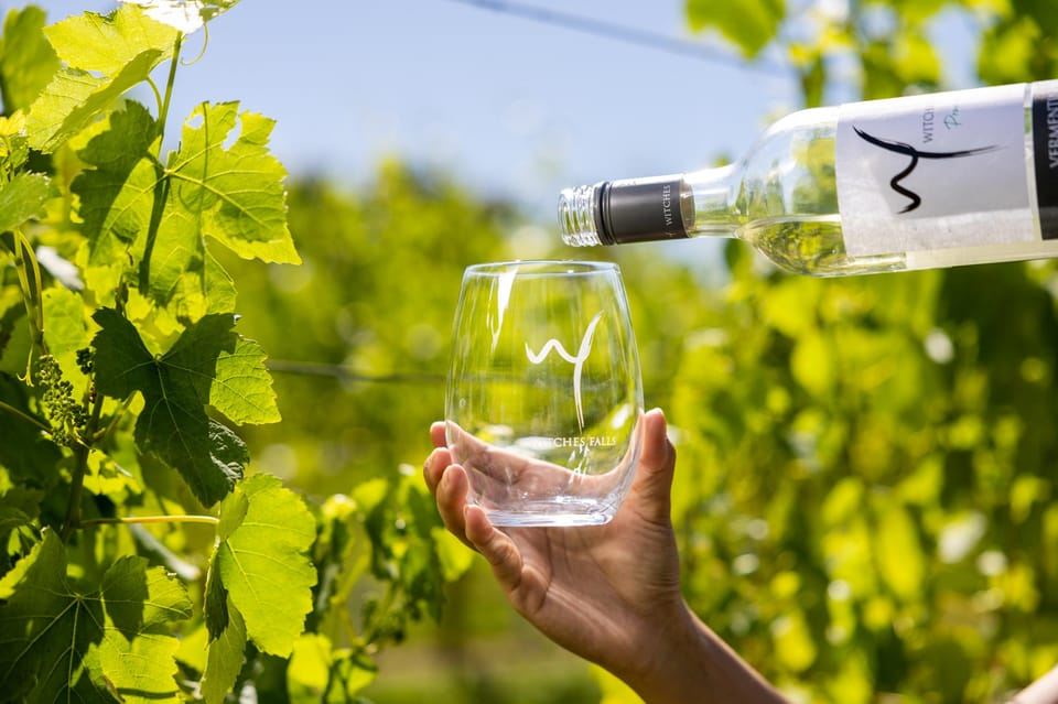 Gold Coast: Tamborine Mountain Local Winery Tour with Lunch