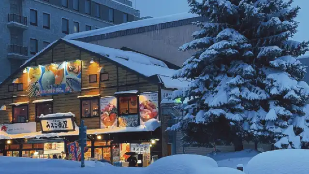 日本北海道小樽一日遊｜天狗山｜札幌往返｜尋找《情書》中的美景