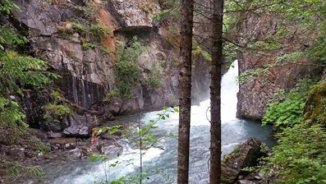 Bird Creek: Chugach State Park ATV Nature Tour & Hike