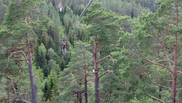 Dals Långed: Zipline-Abenteuer auf Steneby Gård