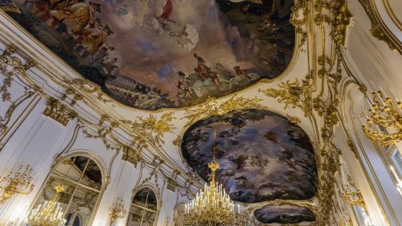 Viena: Palacio de Hofburg y Museo Sisi: tour sin colas