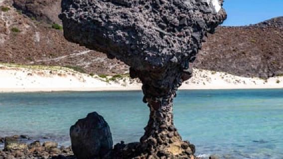 La Paz: Balandra or Tecolote amazing Beach Day Tour