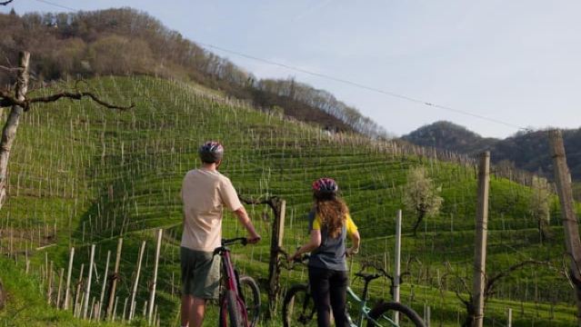 Valdobbiadene: e-bike Tour on the Prosecco Hills