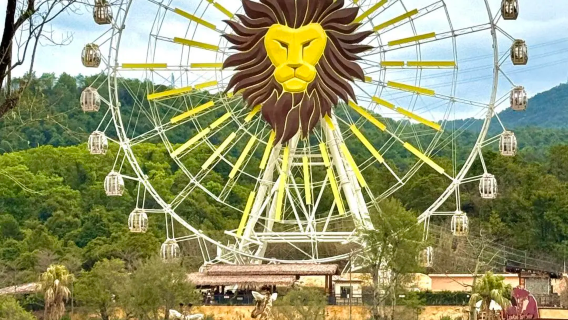 Qingyuan Chimelong Giraffe Castle Forest Kingdom + Hot Spring Park unlimited access + dining + shows, 2-day & 1-night/3-day & 2-night package options available / Forest self-drive tour / Dinner combo ticket