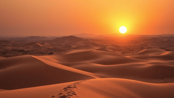 Doha: Night safari & STARGAZING-free camel ride, falcon, ATV