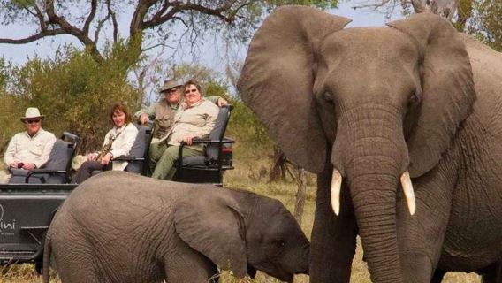 Partenza da Durban | Interazione con gli elefanti al Parco Natal + tour giornaliero alla Riserva di Tala