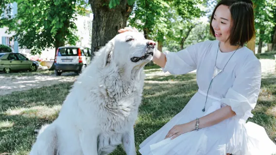 France Salon-de-Provence Trip Moments[France Provence Trip Moments photographer wedding photos Trip Moments travel photography photo shoot]