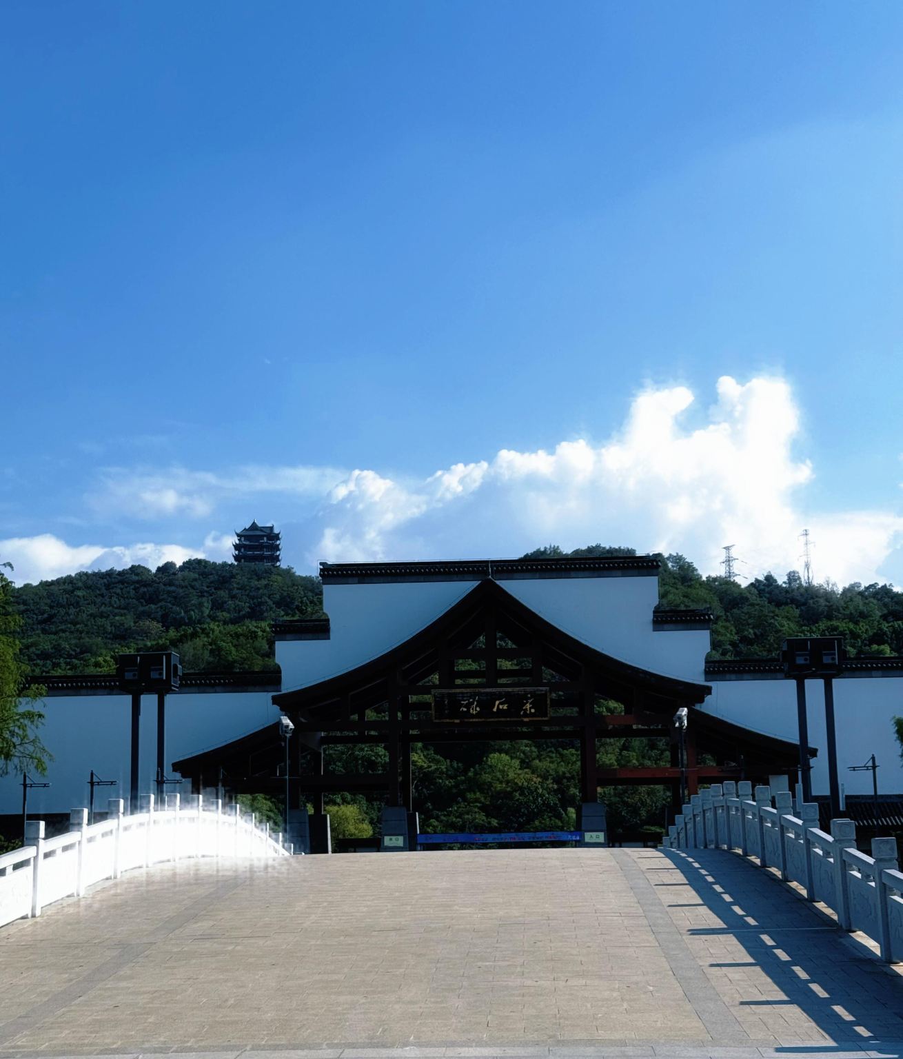 Однодневный тур в Мааньшань: Цайшицзи и зоопарк Дациншань в Аньхое с услугами на китайском и английском языках