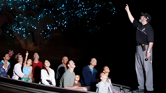 New Zealand Waitomo Glowworm Caves/Ruakuri Cave lawatan separuh hari [Mesti dikunjungi di Pulau Utara|Pelbagai pakej boleh dipilih