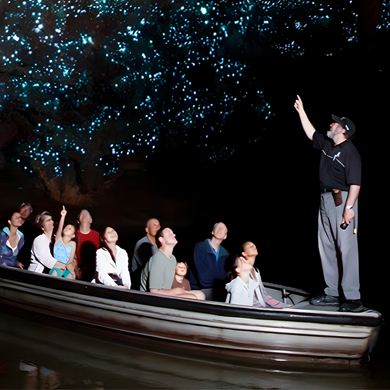 Neuseeland: Waitomo Glowworm Caves / Ruakuri Caves Halbtagesausflug [Ein Muss auf der Nordinsel]|Mehrere Pakete zur Auswahl]