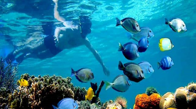 [峇裡島出發] 佩妮達島 3次浮潛+船票+俱樂部午餐+包車