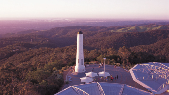 【樂富泰山頂＋無尾熊互動＋漢多夫村＋植物園】阿德萊德山親子趣遊