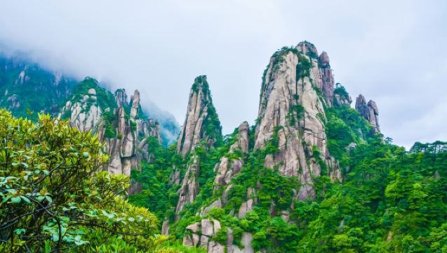 1-day Tour to Shangrao Sanqing Mountain from Wuyuan | Door-to-door Pickup + Optional Chinese/English Guide + Admission Ticket & Cable Car Included