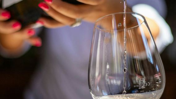 Lisbon: Guided Wine Tasting Experience