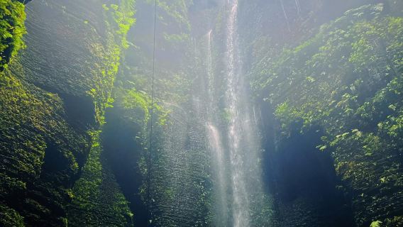 Excursión de un día con servicio de coche privado con conductor en inglés a la aldea de cuevas de piedra de Xingwen en Yibin, Sichuan + montaña Bowang + mar de bambú del sur de Sichuan