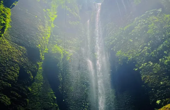 四川宜賓興文石海洞鄉+僰王山+蜀南竹海包車一日遊中英文服務