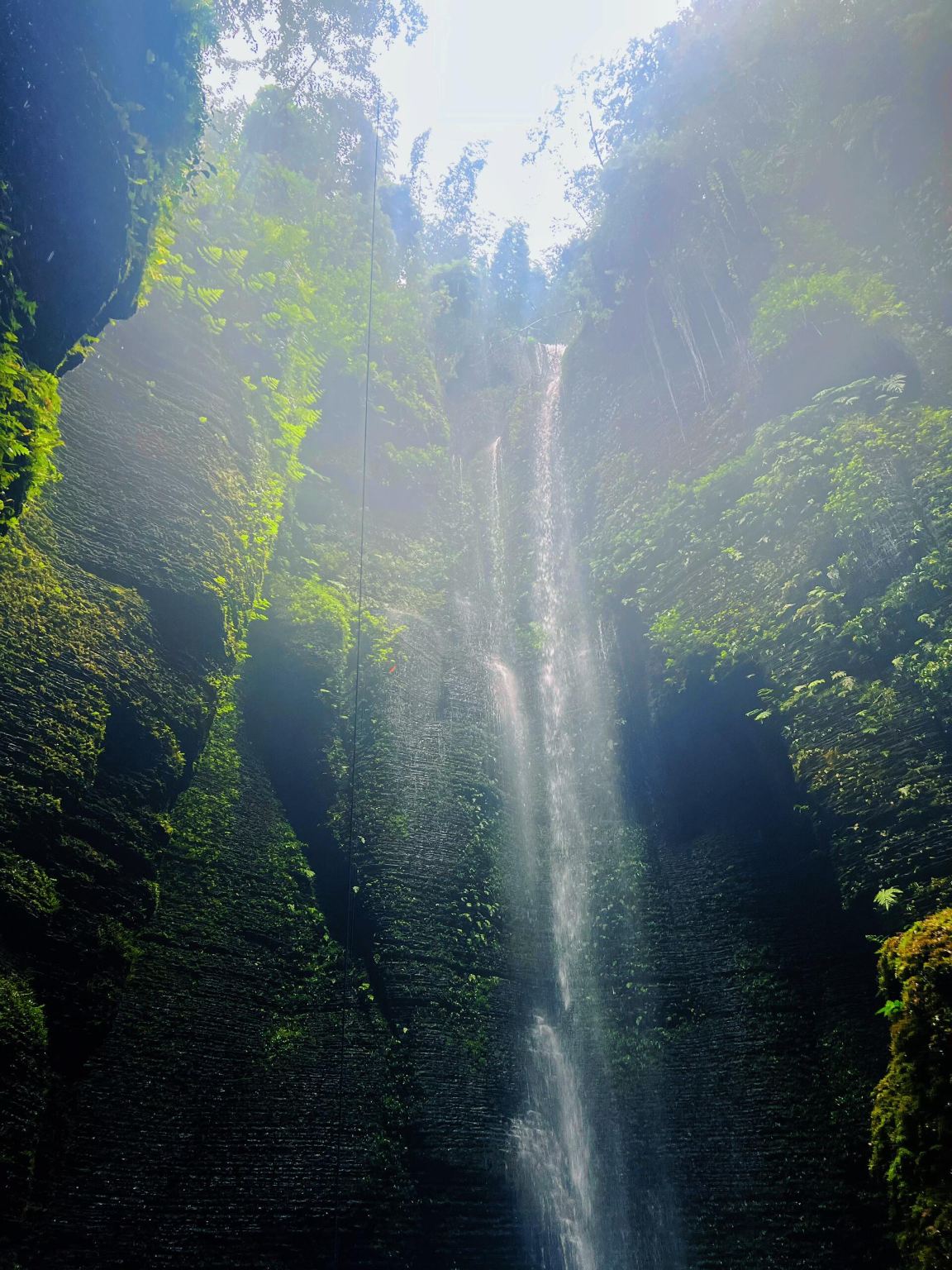 Tagesausflug mit Privattransfer und englischem Service zu den Steinhöhlen von Xingwen in Yibin, Sichuan, dem Berg Bowang und dem Bambusmeer von Shunan