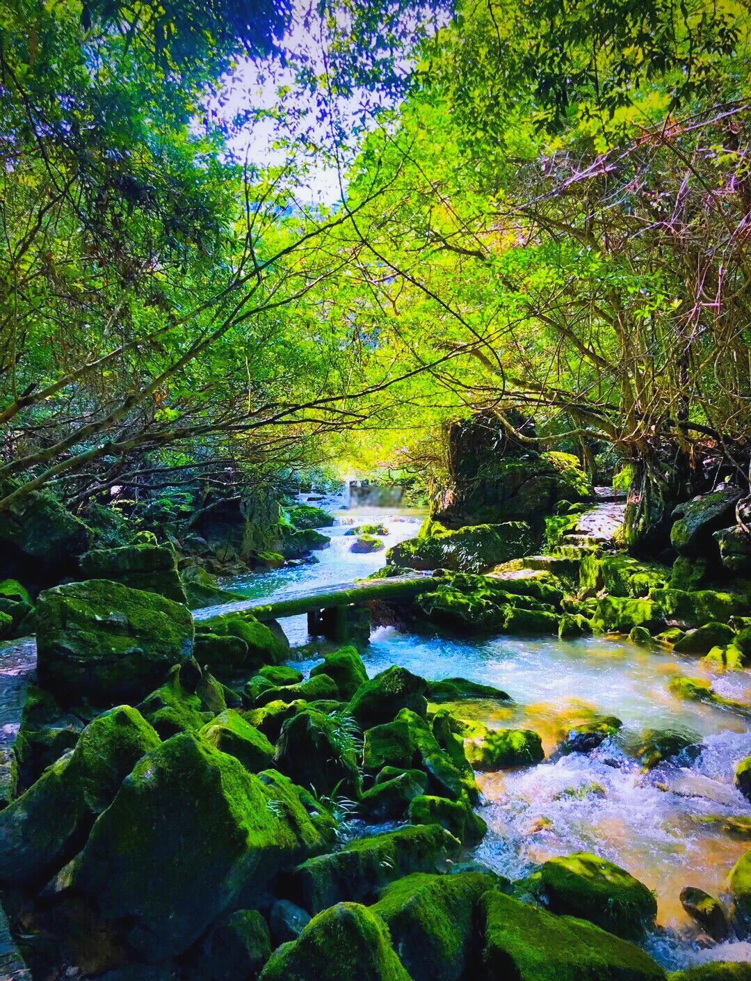 Excursión de un día a Xiaoqikong + Daqikong + el Ojo Celestial de China con servicio en chino e inglés