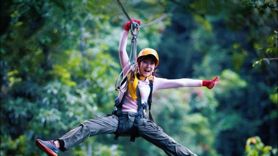 โหนสลิงในป่า Sky Hawk ที่เชียงใหม่|รวมบริการรับส่ง|เลือกรอบได้หลายรอบ|คาเฟ่ในป่า/หมู่บ้านช้างแม่วาง