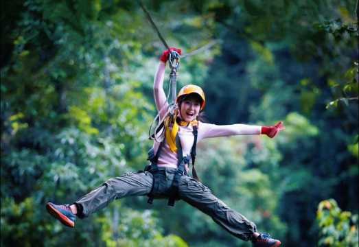 Chiang Mai Sky Hawk Zipline|Includes transfers|Multiple time slots available|Forest Cafe/Mae Wang Elephant Camp available
