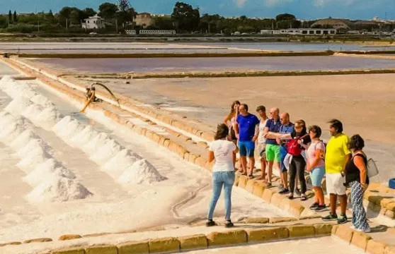 薩林根納：導賞團