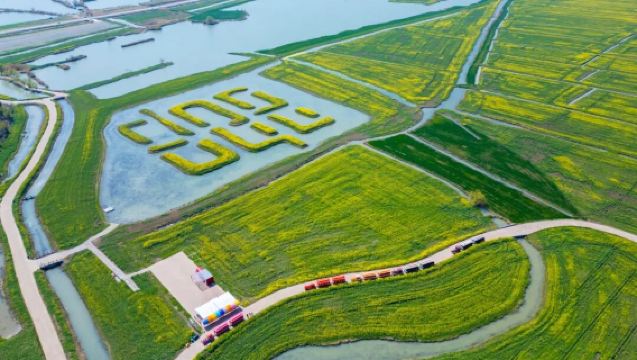 汪老故鄉——高郵湖上花海+文遊台一日遊