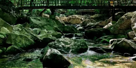 太平國家森林公園一日遊