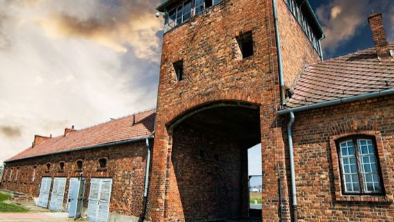 Auschwitz-Birkenau e Miniera di Sale di Wieliczka: Tour Guidato + Trasporto