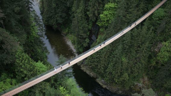 Canada Vancouver: Halve dagtocht naar Capilano Suspension Bridge Park | Hoteltransfer inbegrepen