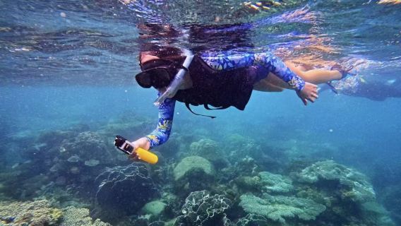 Vietnam : Plongée et snorkeling de 2 heures à Phu Quoc et sur l'île de Hon Thom [Croisière sur un grand bateau vers deux îles + Snorkeling et pêche en mer + Transfert depuis l'hôtel + Photos aériennes]