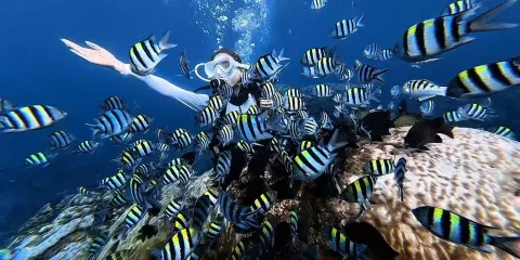 三亞海棠灣浮潛/深潛+水下照片和影片+潛水裝備無二次消費