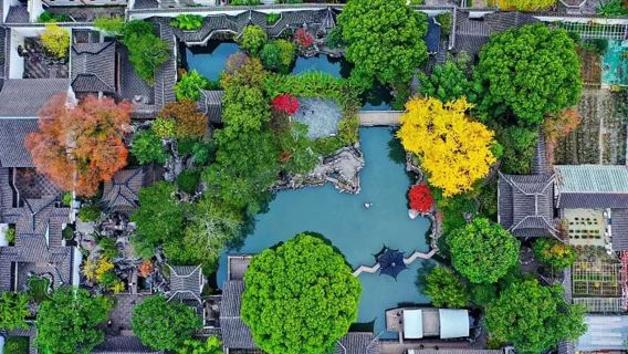 "Lion Grove & Malam di Master of Nets Garden" --- Tur Setengah Hari Privat dari Shanghai ke Suzhou