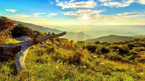Shenandoah National Park + Virginia Caves Day Trip | Small Group Tour, Washington D.C. Round Trip
