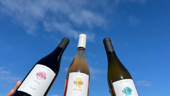Palma: Visit to Can Morgan Winery