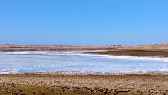 Private Paracas National Reserve & Pink Lagoon Tour