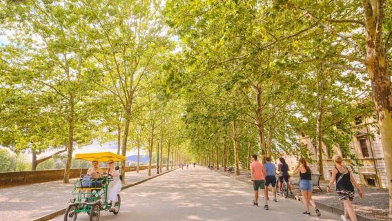 From Montecatini: Pisa & Lucca Day Full Day Tour