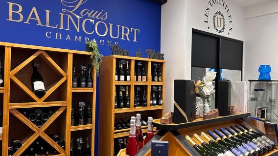 Châlons: Tour of a Gallo-Roman cellar (UNESCO) + 1 tasting