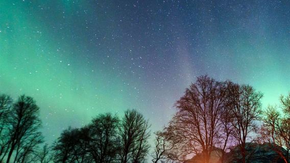 Tromsø · Vielseitige Nordlicht-Jagd Tagesausflug mit verschiedenen Optionen