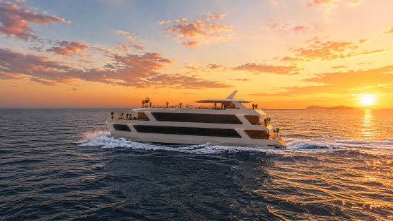 Halora Elys Cruise | Crucero diurno o al atardecer y nocturno en Nha Trang con bufé de mariscos