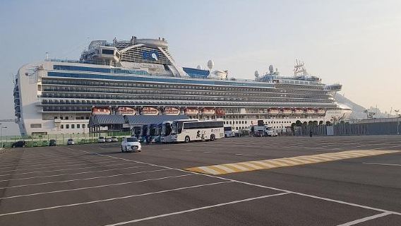 BusanTravel Services
