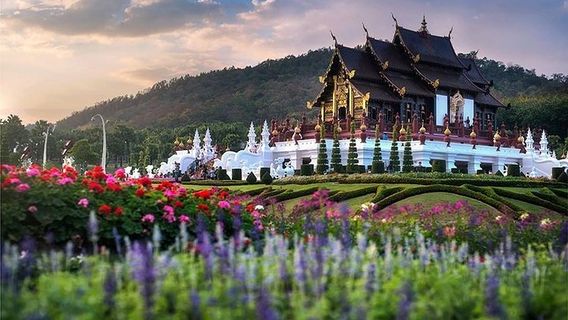 Chiang MaiTours