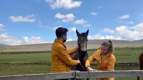 Cotopaxi Horseback Riding Tour from Quito – Andes Adventure