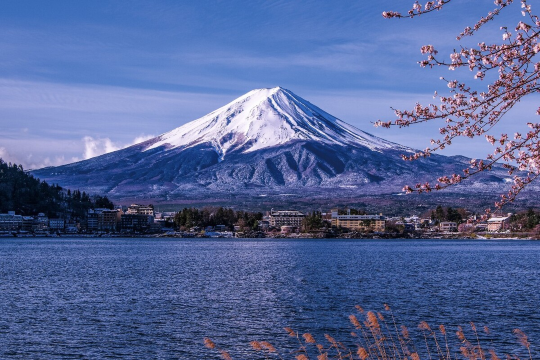 One-day tour to Mount Fuji 5th station in Tokyo, Japan