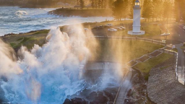 澳洲雪梨臥龍崗一日遊丨普通話司導丨雪梨出發丨4人成團