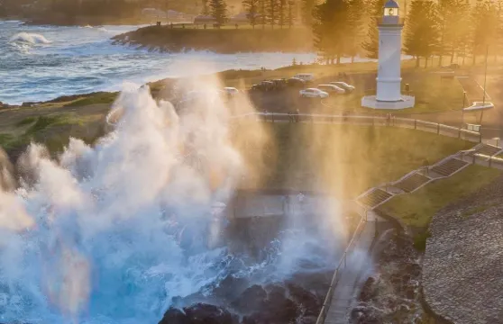 澳洲悉尼卧龍崗一日遊丨 中文司導丨悉尼出發丨4人成團